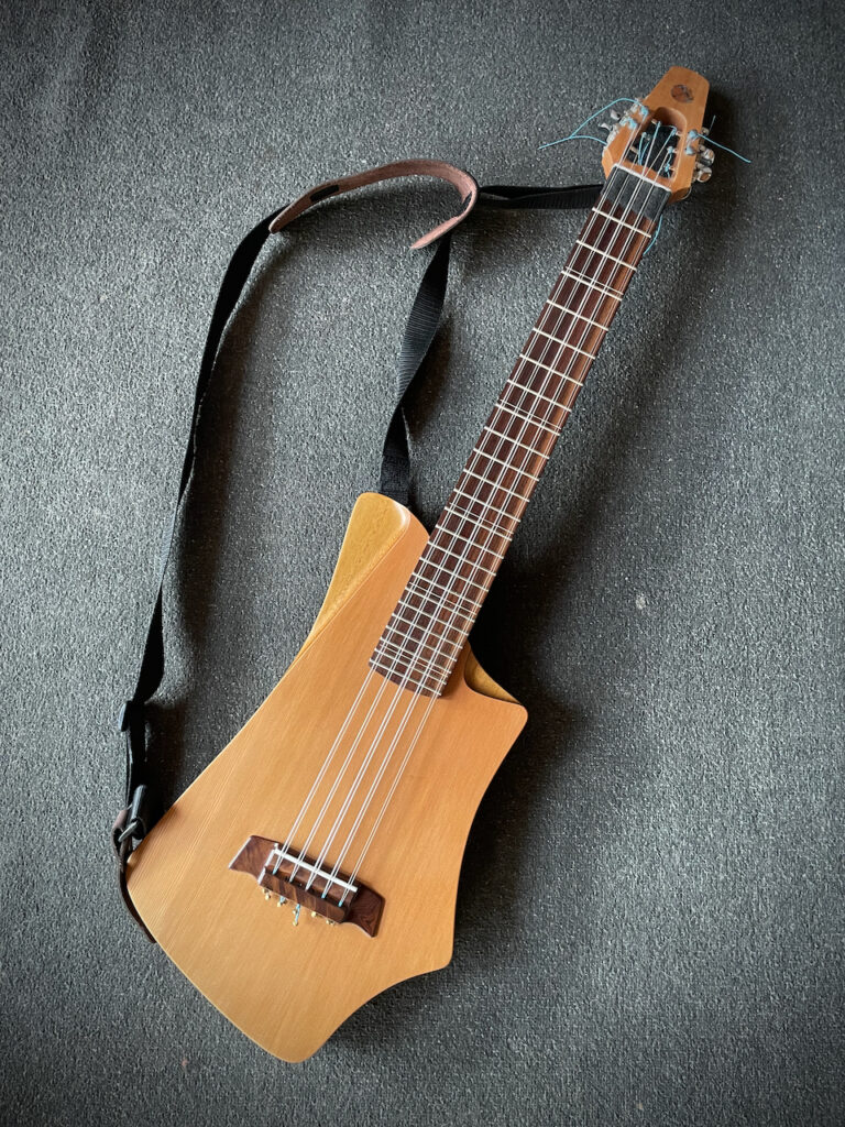 Dragonfly Tapping Instruments semi acoustic model for tapping/touchstyle. This one is a special 10 string with tuning like a Ronrocco